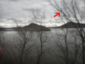 Nearby trees on the bank below